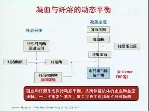 水蛭素，新型冠狀病毒。肺炎