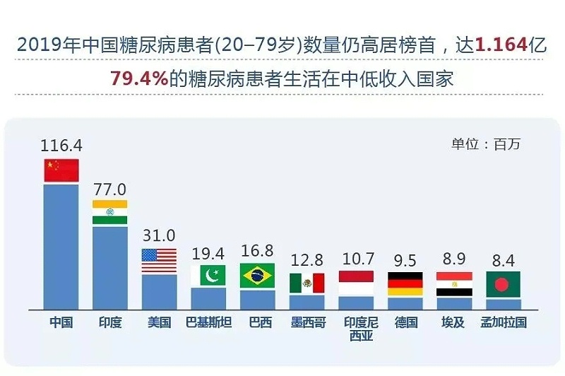 水蛭素、血糖、糖尿病