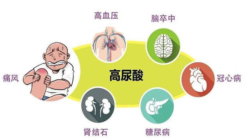 水蛭素、高尿酸、痛風