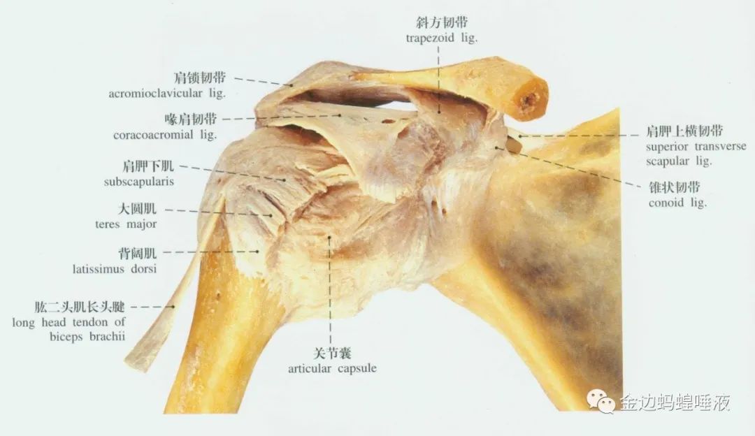 真實(shí)案例 | 腕關(guān)節(jié)囊積液，發(fā)炎腫脹，疼痛難忍，真就對它沒辦法嗎？